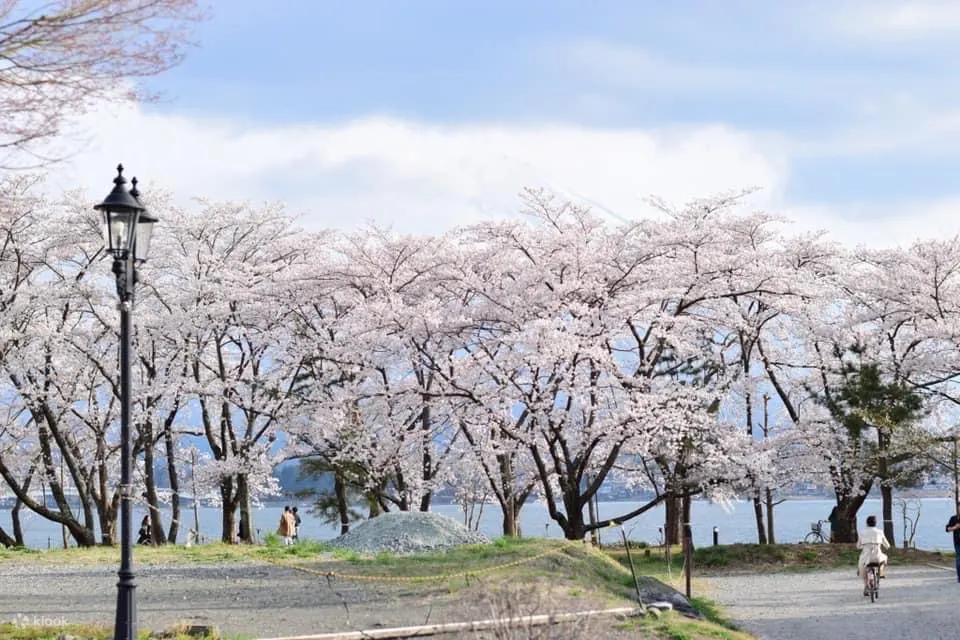 Mt Fuji 5th Station, Kawaguchiko, Gotemba Outlet Mall Tour