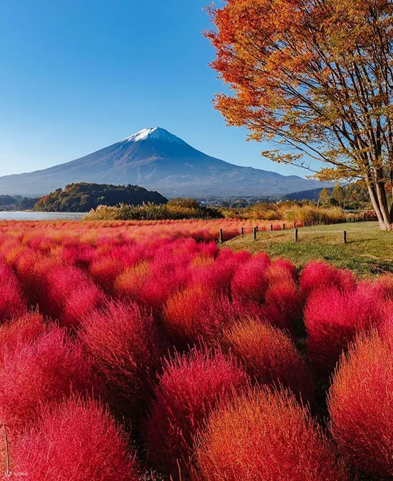 Mt Fuji 5th Station, Kawaguchiko, Gotemba Outlet Mall Tour