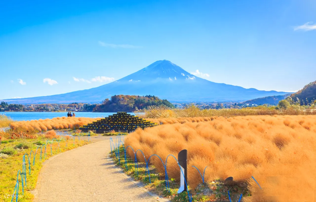 Kawaguchiko Oishi Park