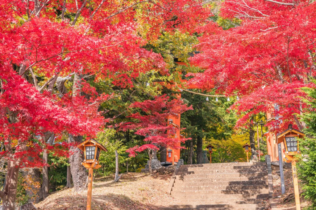 One-Day Tour to Mount Fuji