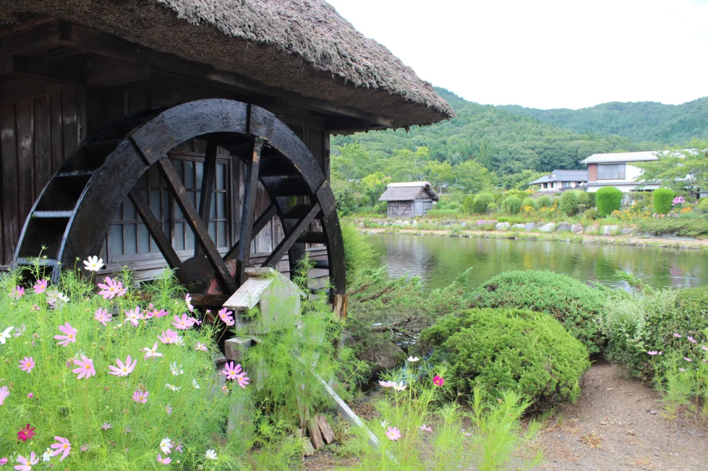 One-Day Tour to Mount Fuji