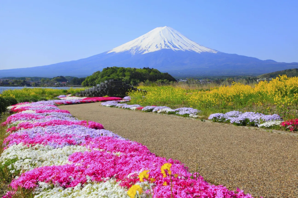 One-Day Tour to Mount Fuji