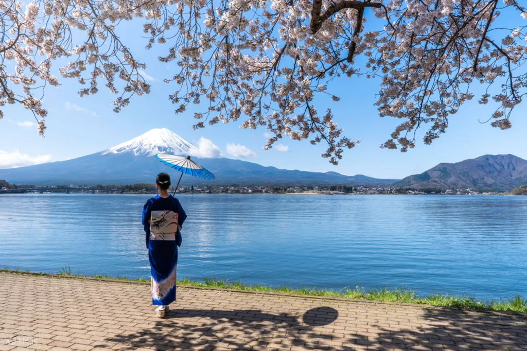 One-Day Tour to Mount Fuji