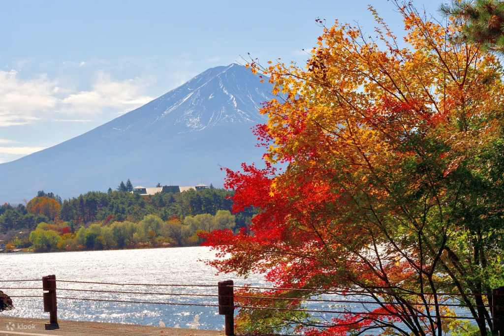 Mount Fuji