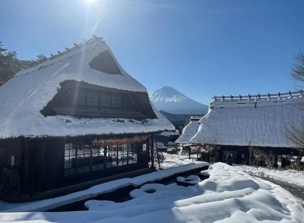 Gassho-zukuri style buildings