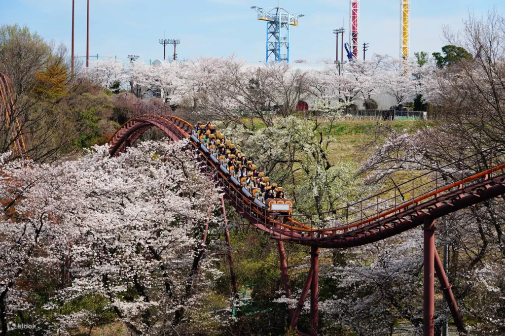 Test your bravery on board the parks various thrilling roller coaster rides, including the biggest one, "Bandit"