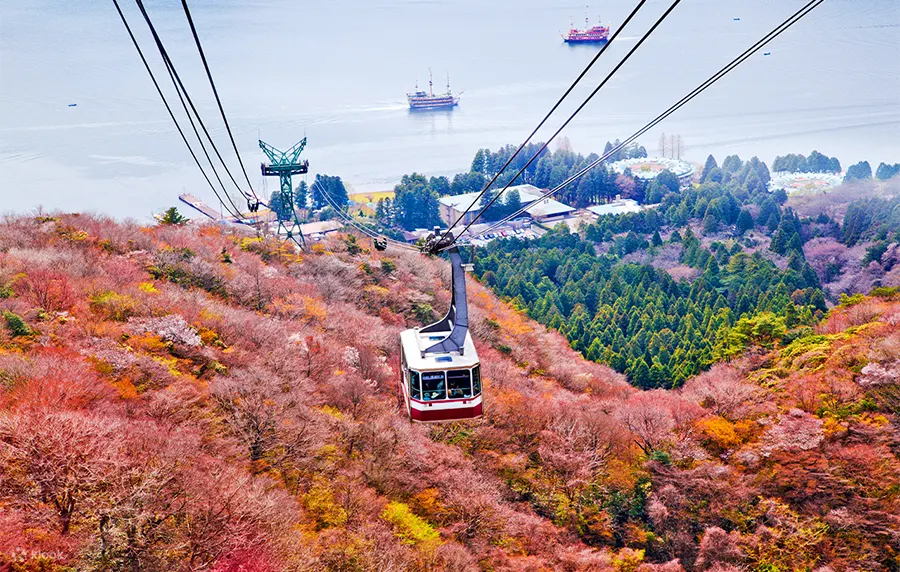 Hakone Ropeway