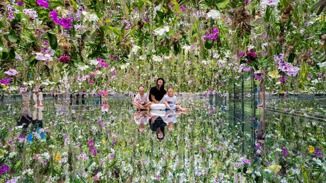 Experience being surrounded by 10,000 real orchids Experience being surrounded by 10,000 real orchids
