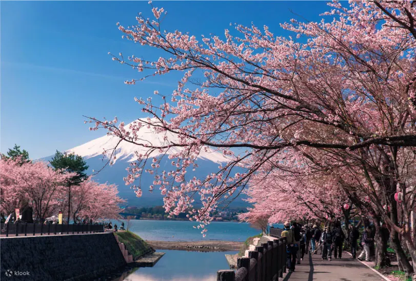 Lake Kawaguchi