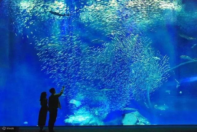 Aqua World Ibaraki Prefectural Oarai Aquarium