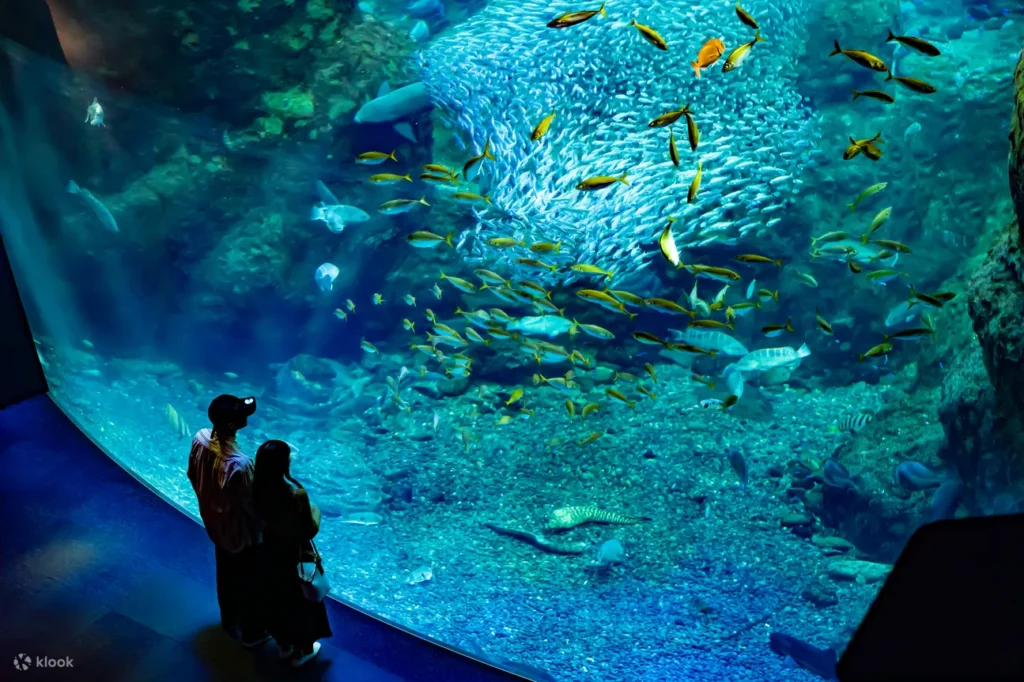 Enoshima Aquarium