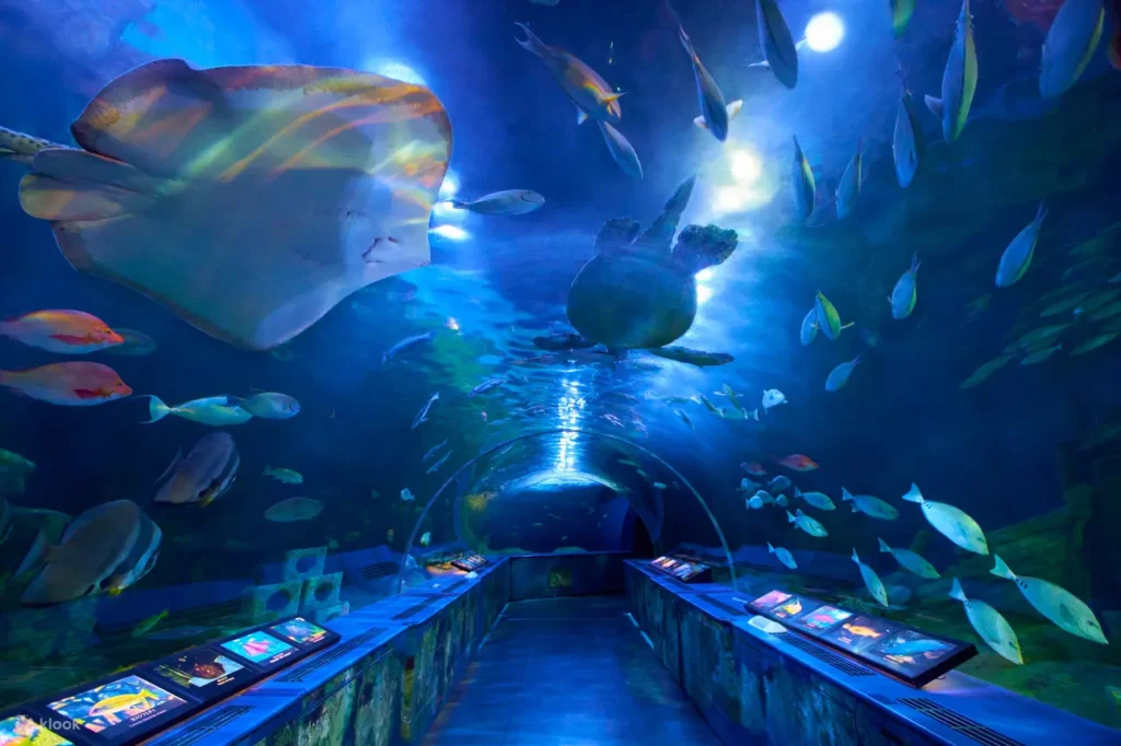 Shinagawa Aquarium