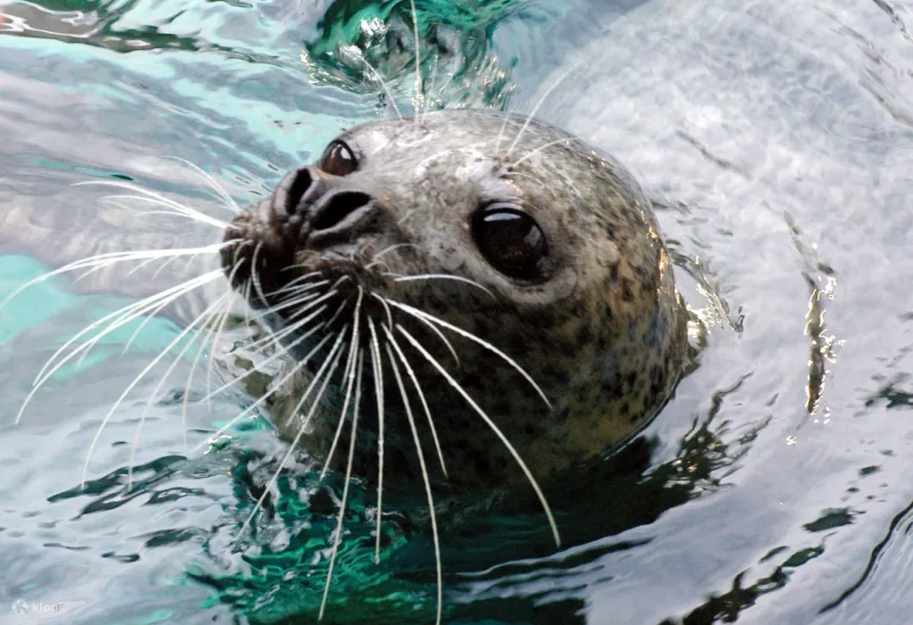 Shinagawa Aquarium