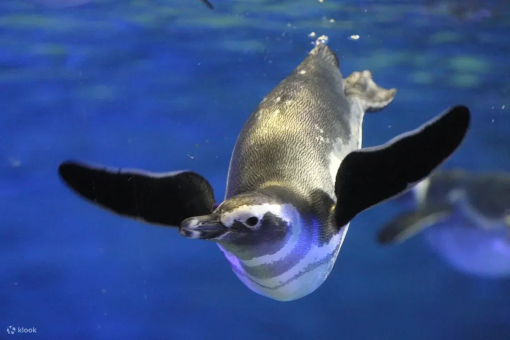 Sumida Aquarium