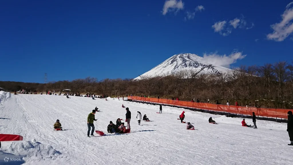 Mt. Fuji & Hakone One Day Trip