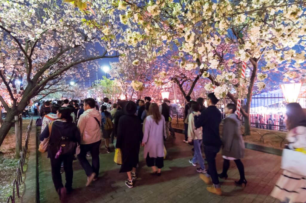 Cherry blossom trees near the Japan Mint in Osaka