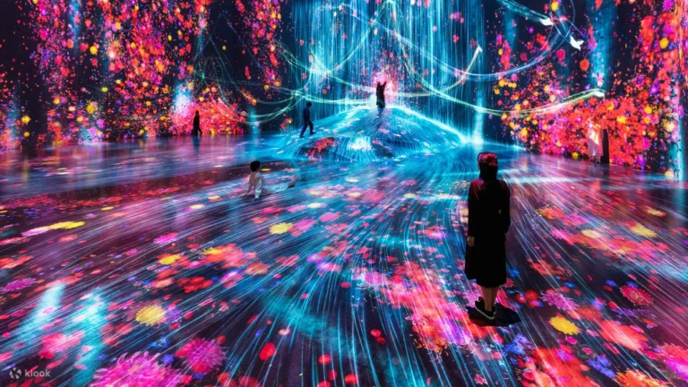 teamLab Borderless: MORI Building DIGITAL ART MUSEUM Ticket