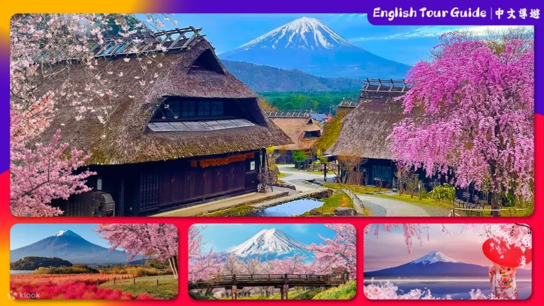 Mount Fuji Four Famous Scenic Spots Day Tour from Tokyo