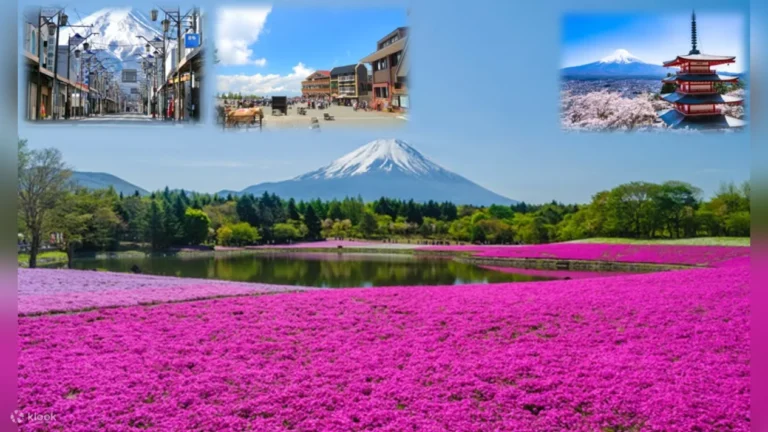 6 Most Popular Sightseeing Spots? Sakura viewing ?in Mt. Fuji Area