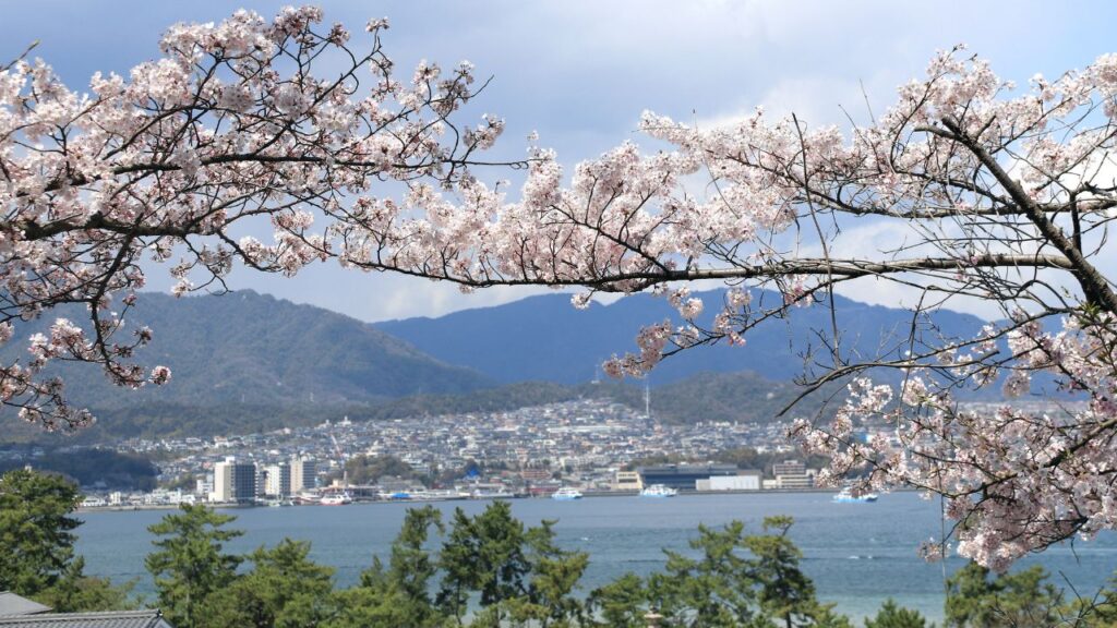 Cherry blossoms on Miyajima Island overlooking Hiroshima City