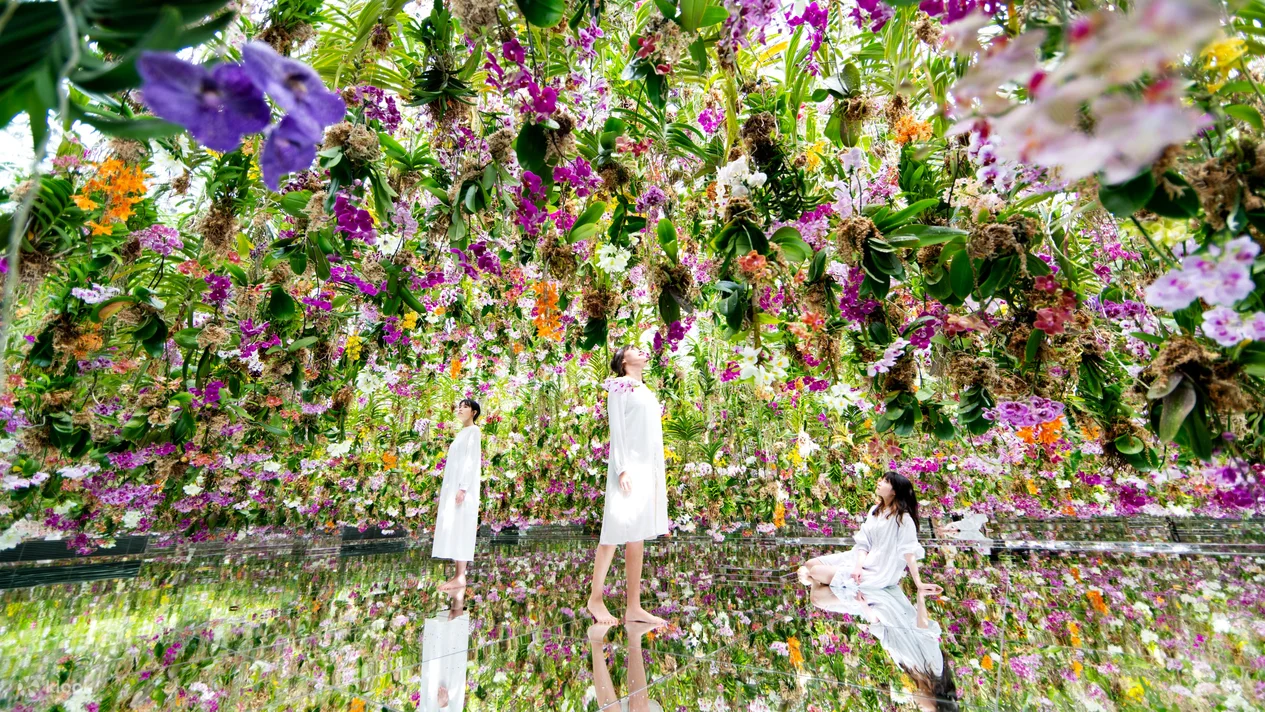 teamLab Planets TOKYO