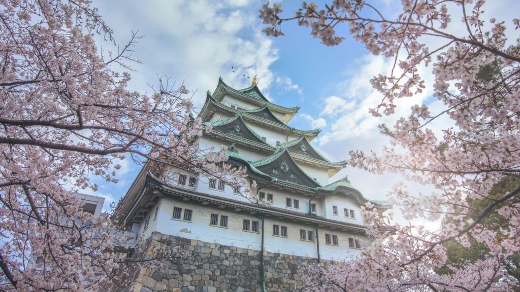 Cherry Blossoms at Nagoya Castle