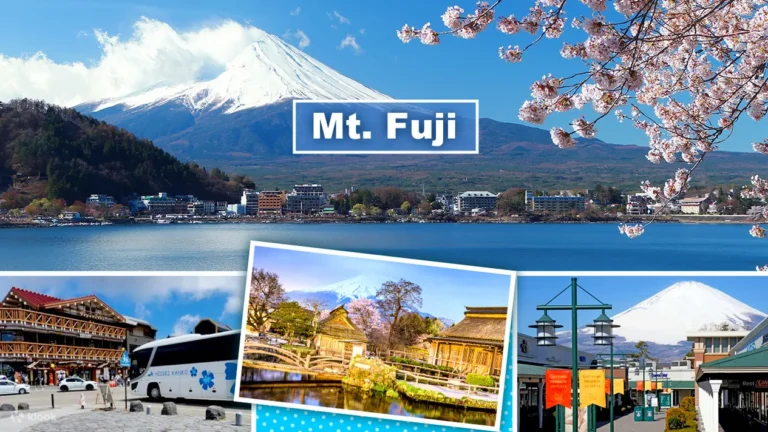 Mt Fuji Day Tour from Tokyo with lunch option