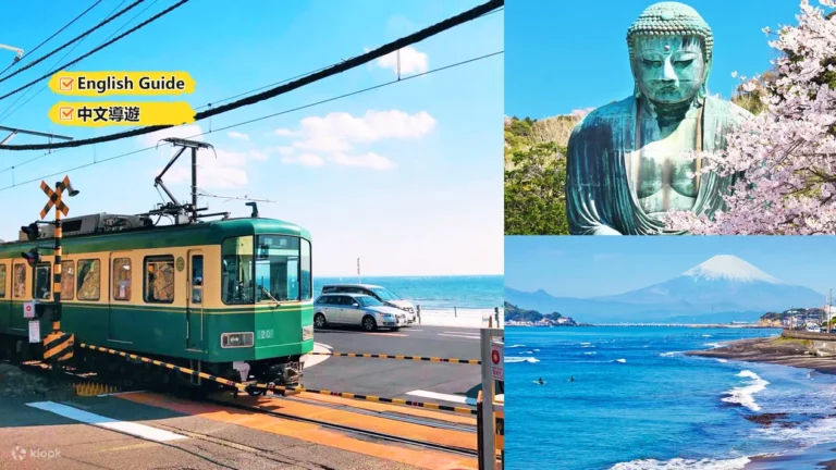 Kamakura Kotoku-in Temple & Enoshima One Day Tour from Tokyo