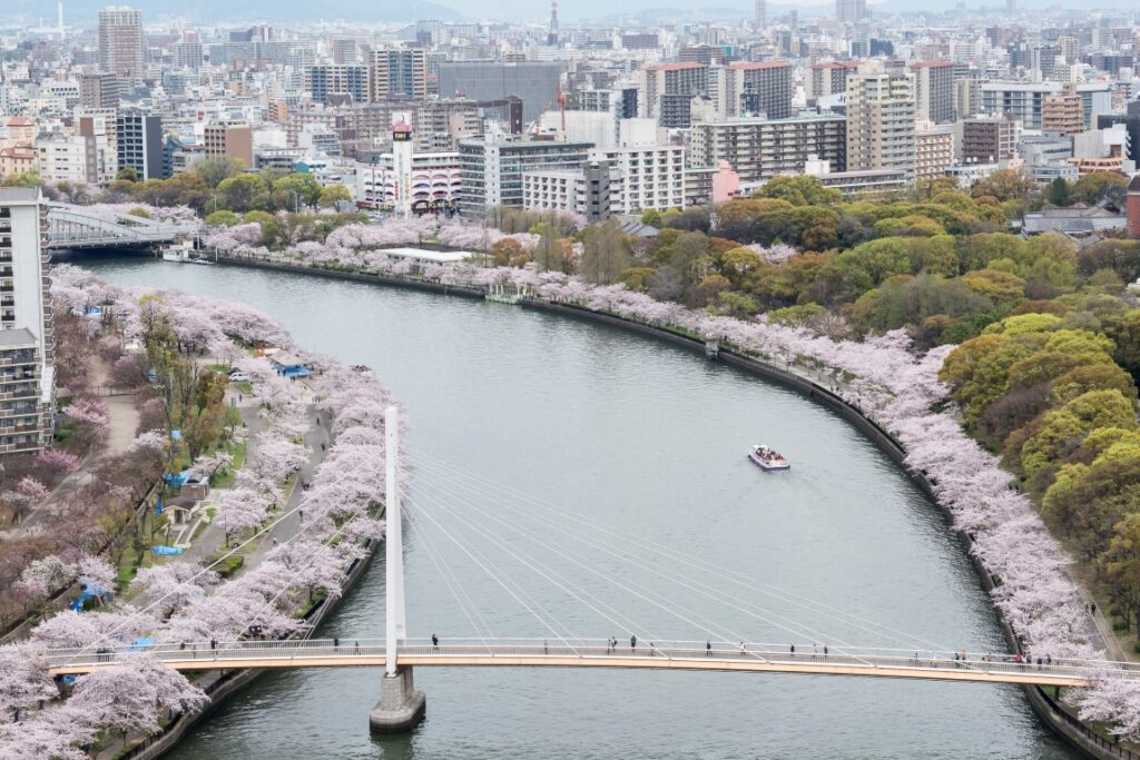 Cherry blossom alongside the river near to Osaka Castle