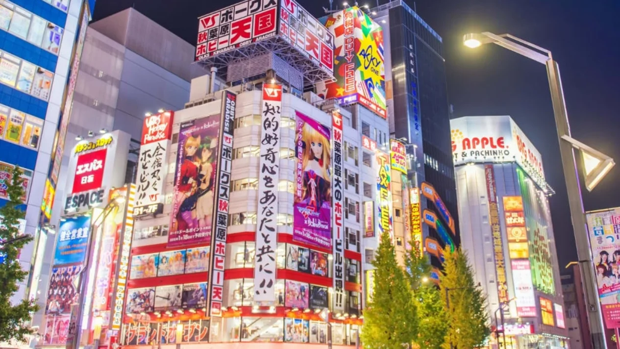 Tokyo City Subculture Tour -Discover the World of Otaku