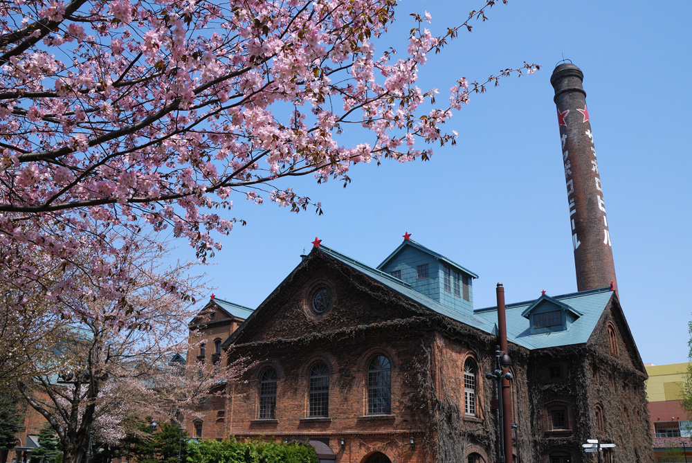 Cherry Blossoms at Sapporo Brewery