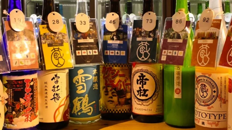 Sake All-You-Can-Drink Experience in Tokyo