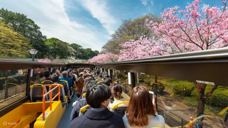 Tokyo City, Open Top Bus Sightseeing Trip