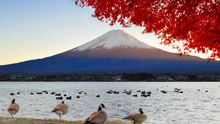 Mt Fuji 5th Station Kawaguchiko Gotemba Outlet mall Tour from Tokyo