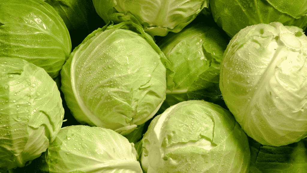 Cabbages