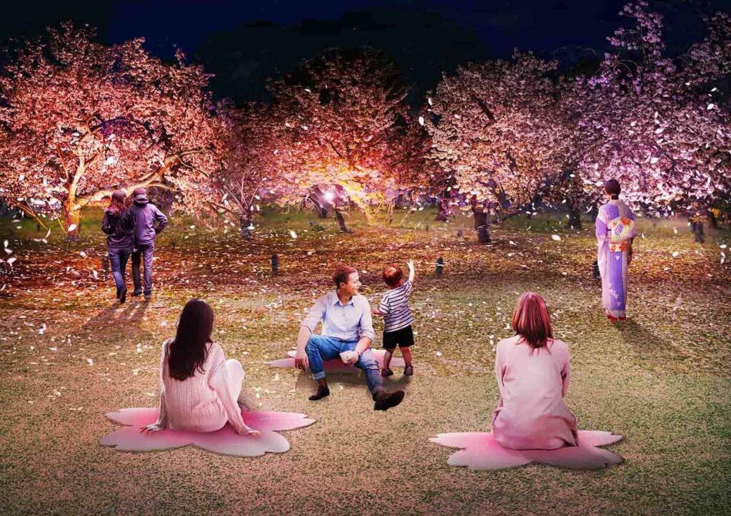 Sakura Night Picnic Area