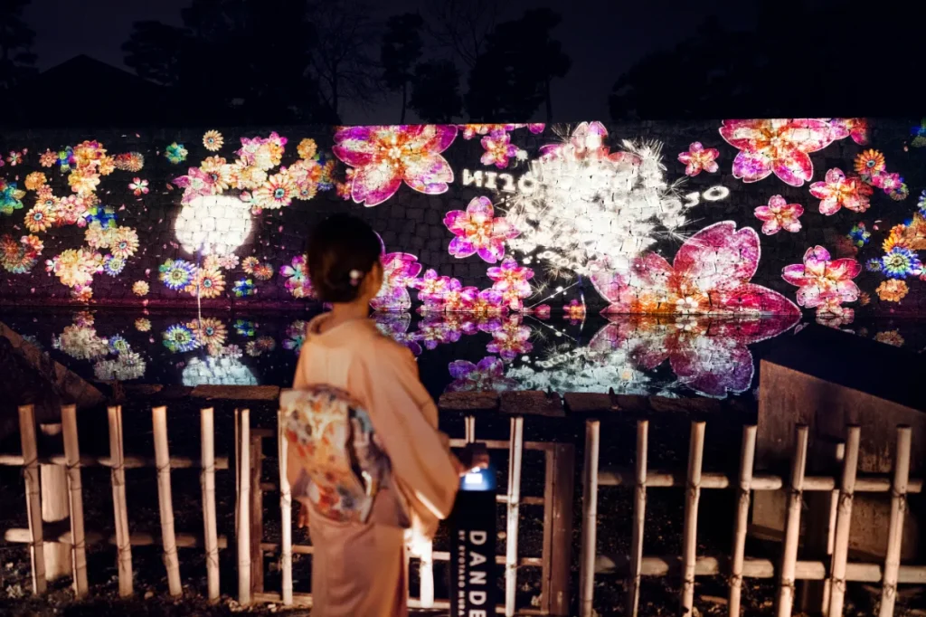 Inner Moat Cherry Blossom Illuminations