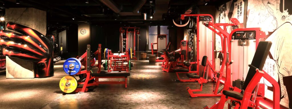 Gym equipment available at the One Piece Fitness BragMen gym