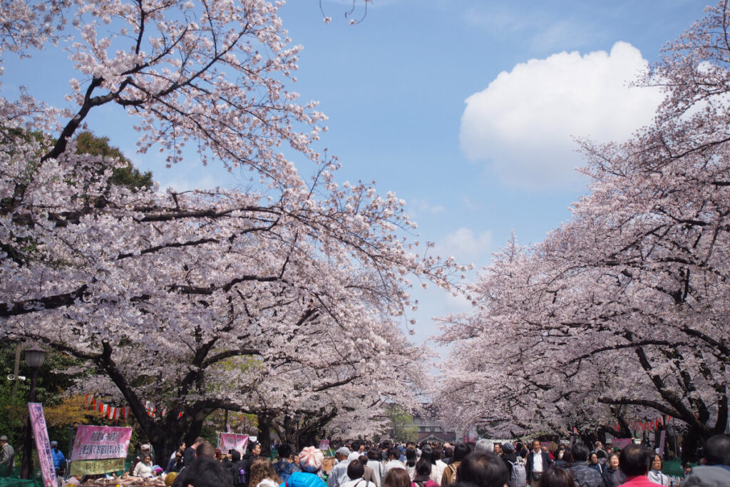 Ueno Cherry Blossom Festival Stalls