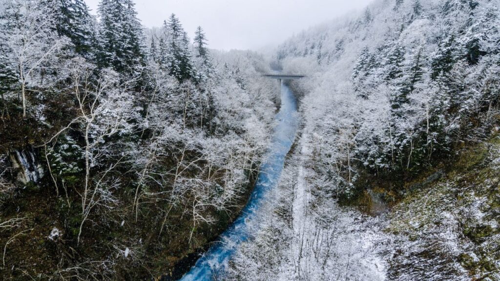 The stunning blue water of the Biei River stands out during winter