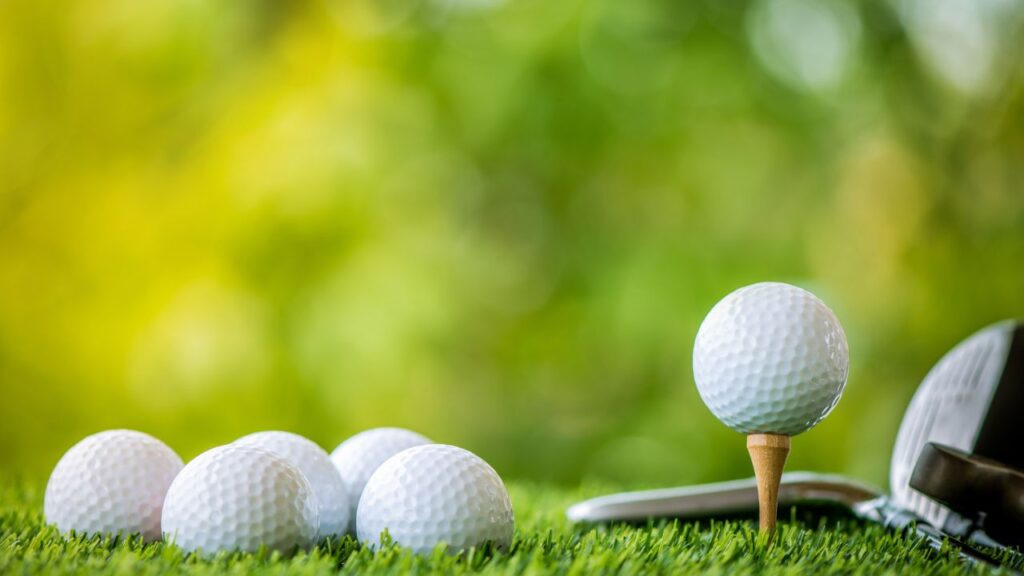 Driving ranges are practice areas where golfers can practice their technique