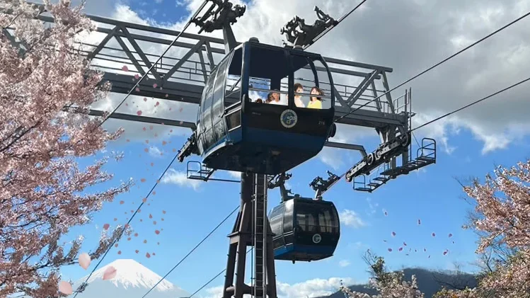 An artists impression of how the new open-air gondola will look