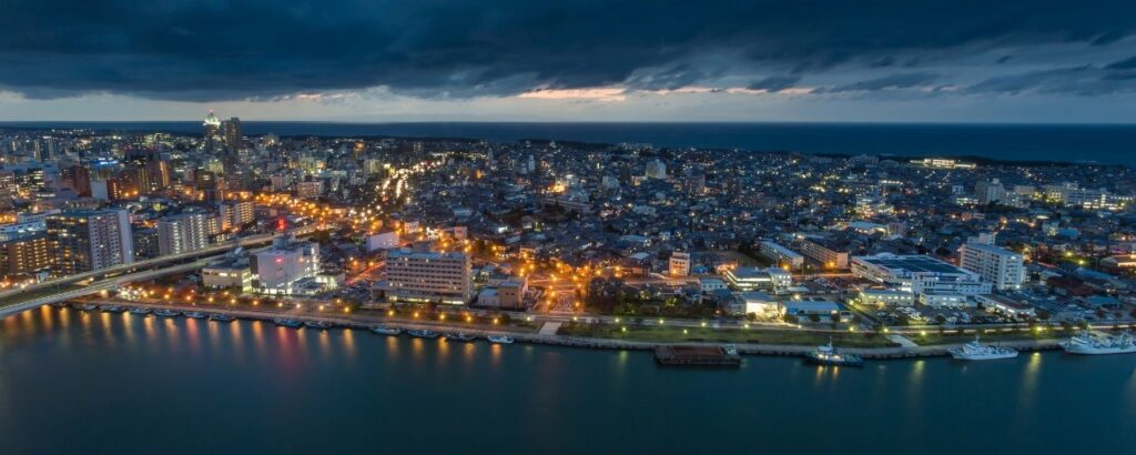 The skyline of Niigata City at night as viewed from the coast