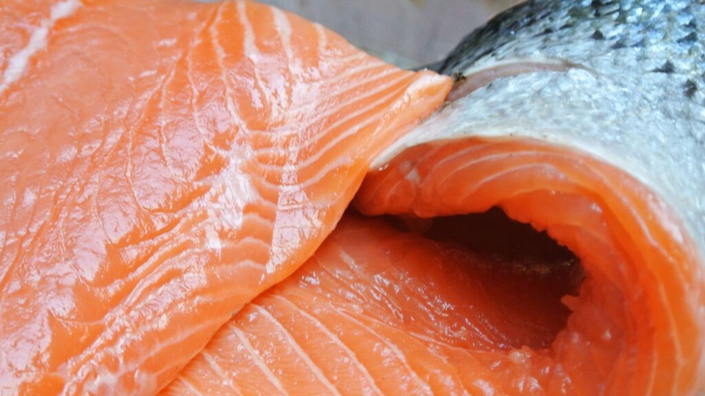 A pair of salmon fillets