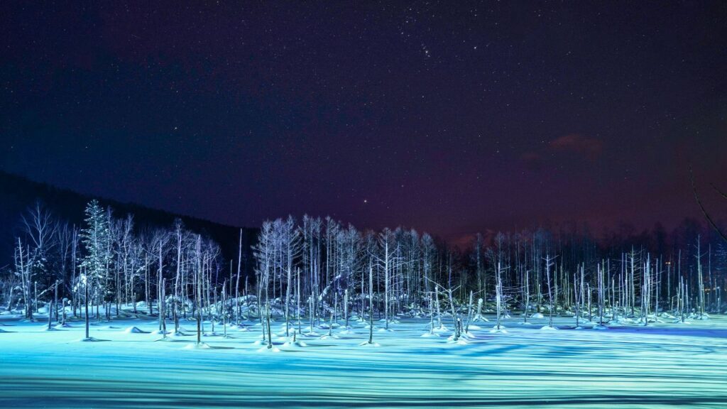 The stunning appearance of the frozen Shirogane Blue Pond is a major tourist attraction in winter