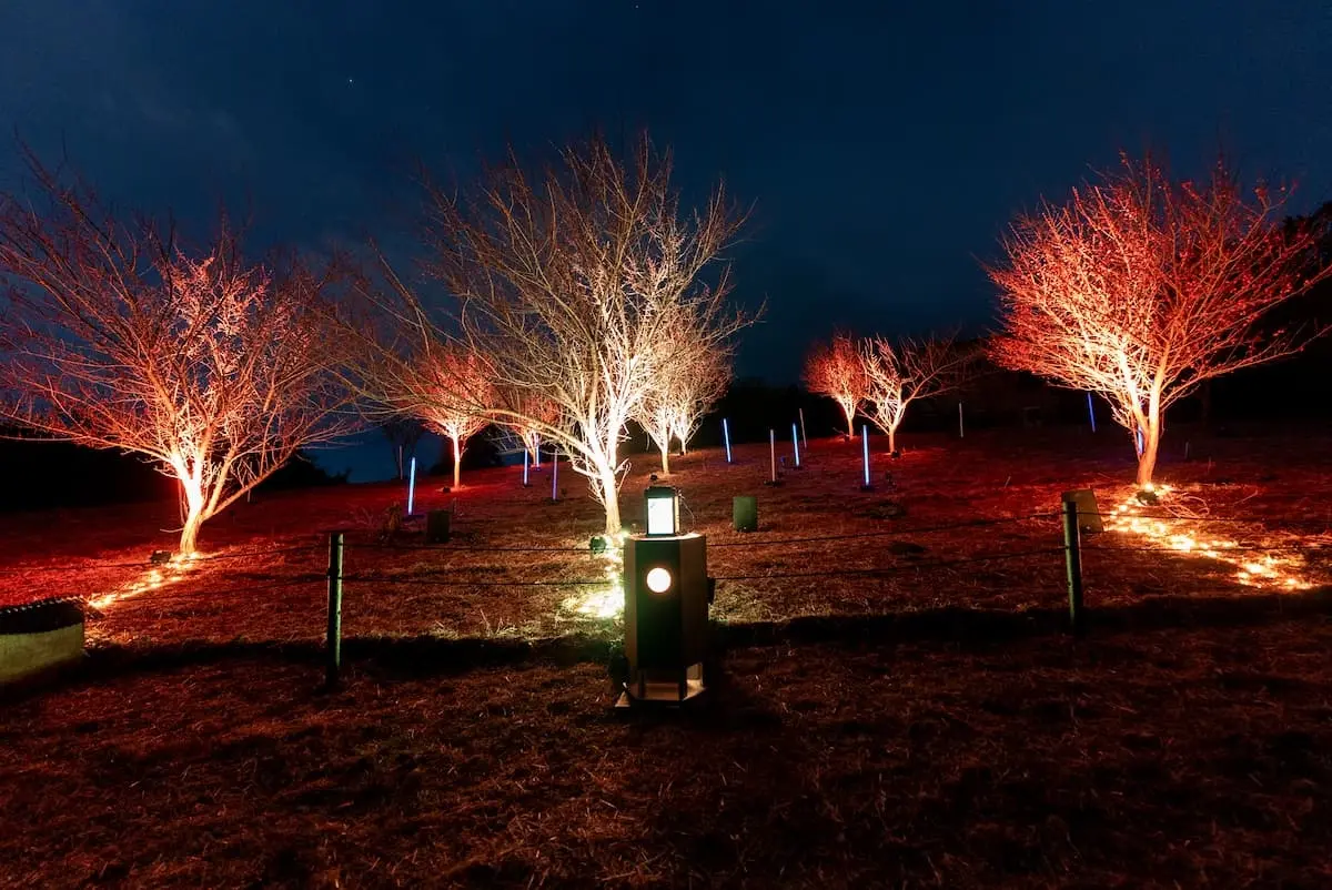 A lantern on a pedestal in an illuminated forest A lantern on a pedestal in an illuminated forest