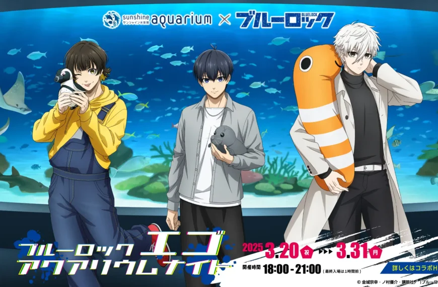 Blue Rock Ego Aquarium Night 2