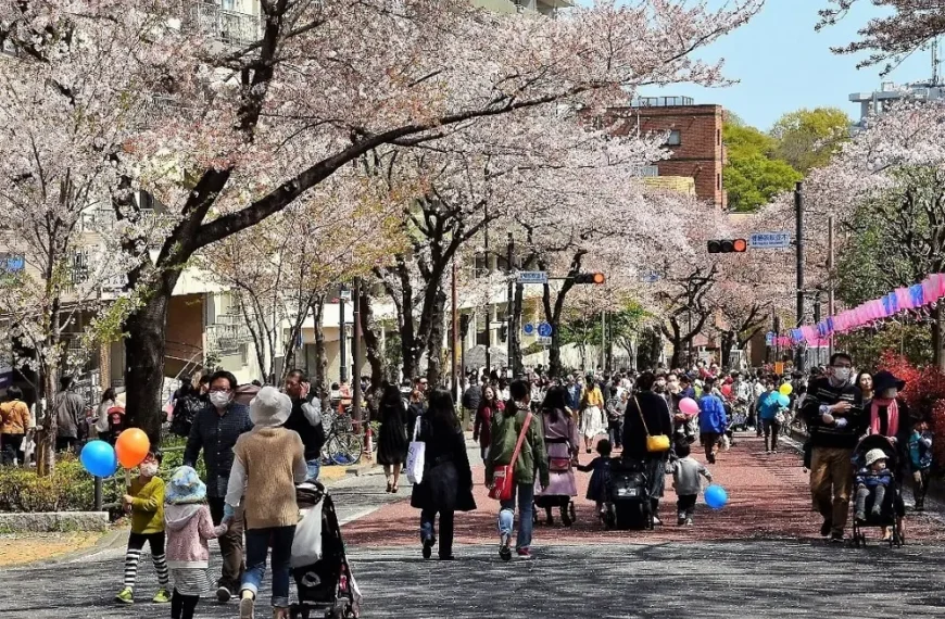Bunkyo Sakura Festival 1