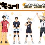 Haikyu fair 1