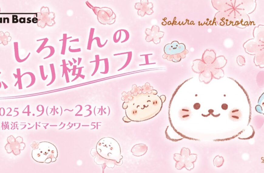 Shirotan Sakura cafe